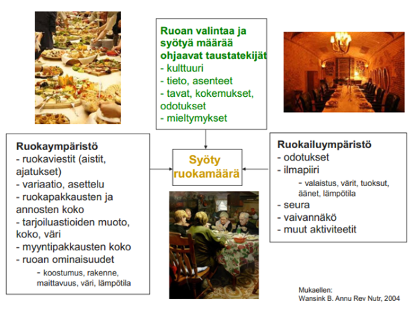 Parempaan huomiseen – Ravitsemusfoorumin antia osa 1 - Alfido Kuopio |  Suurenmoisille ihmisille